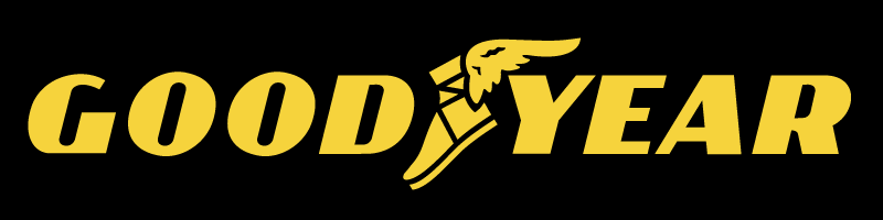 Servicio Técnico Scooter Goodyear